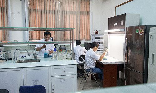 Đại học Duy Tân công bố 521 bài báo ISI/Scopus trong năm 2018